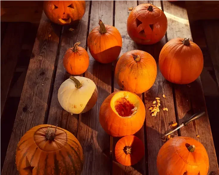 Farmer Ed's Pumpkin Patch