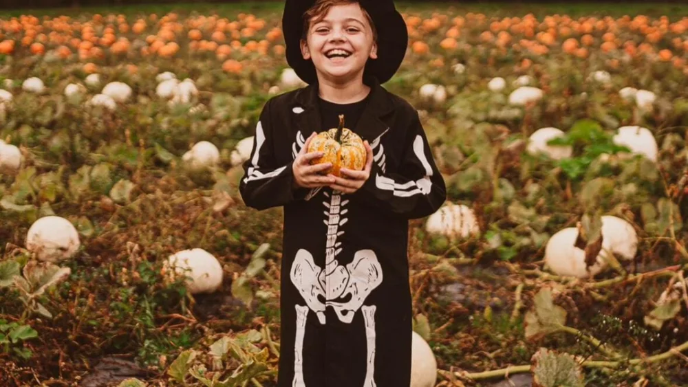 Pick Your Own Pumpkins