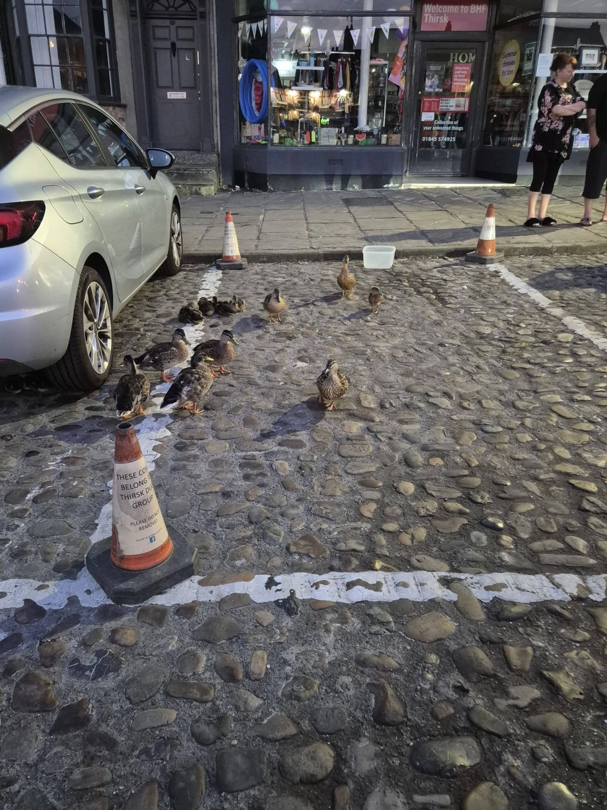 LISTEN - Sunday Late Show - Ducks abandon beck for the safety of Thirsk market place